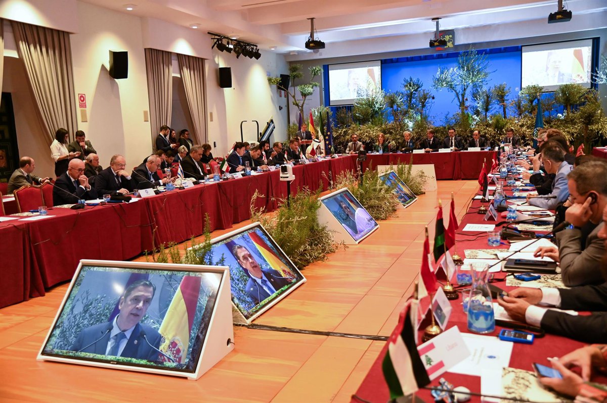 A partir de Planas, el Consejo Oleícola Internacional destaca por su cooperación multilateral