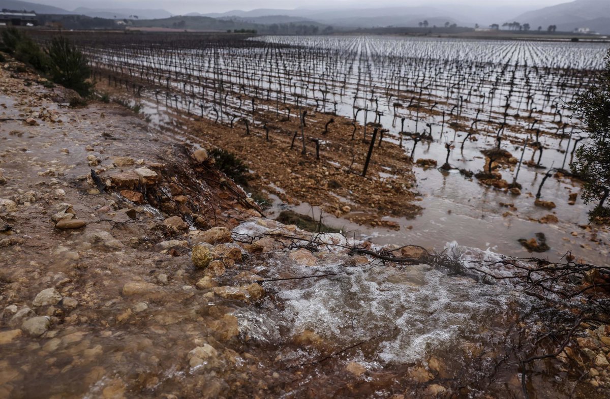 Más de 2.300 agricultores afectados por la Dana recibirán 42,1 millones para daños en infraestructuras