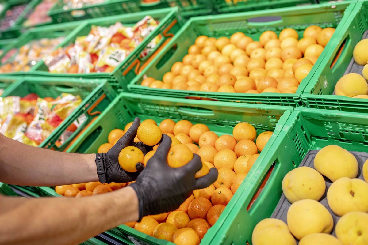 Mercadona comercializa 131.000 toneladas de naranjas nacionales en 2023