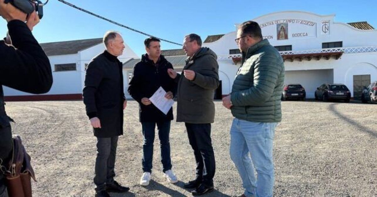 PSOE de Huelva solicita apoyo para enmienda que ayude a viticultores afectados por pérdidas