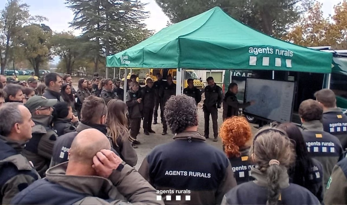 Agents Rurals despliega un operativo de choque contra la peste porcina africana en Parlon
