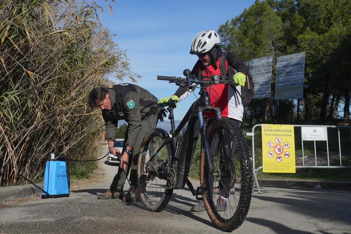 Agro.- Bayán advierte sobre la PPA: es crucial no alimentar a la fauna salvaje