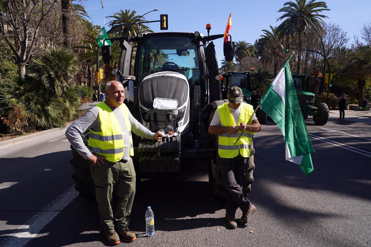 Asaja Málaga se moviliza en Bruselas el 18 para defender al sector agrario ante recortes