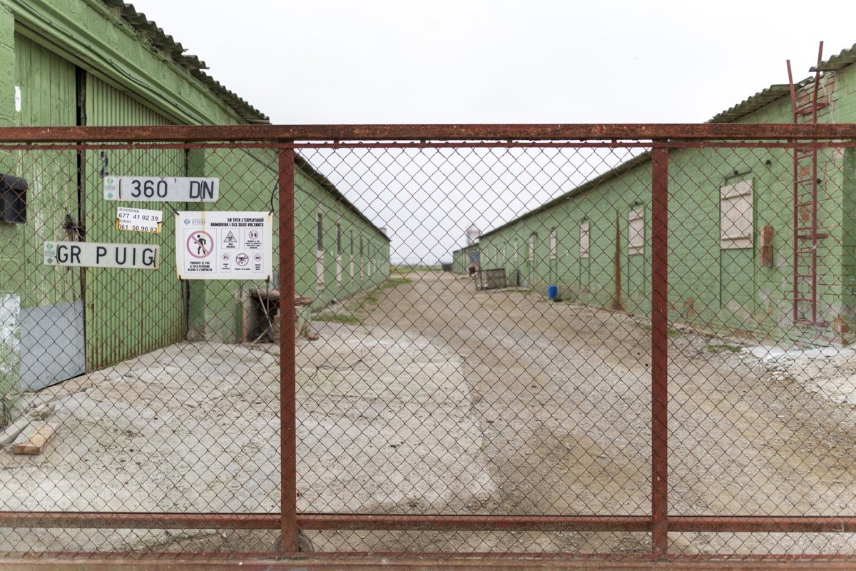 CCOO urge al Govern a vincular ayudas al sector cárnico con el empleo sostenible CCOO urge al Govern a vincular ayudas al sector cárnico con el empleo sostenible