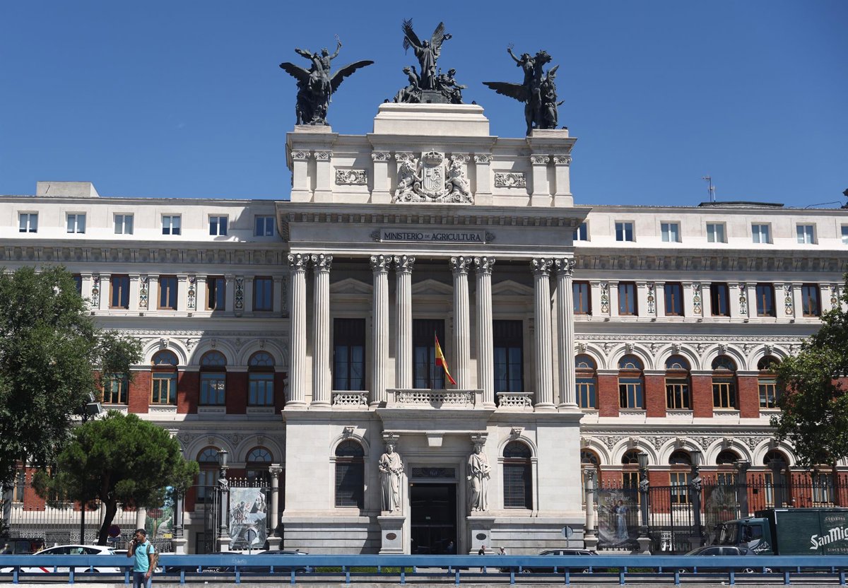 El BOE lanza el plan de seguros agrarios 2026 con una inversión de 315 millones El BOE lanza el plan de seguros agrarios 2026 con una inversión de 315 millones