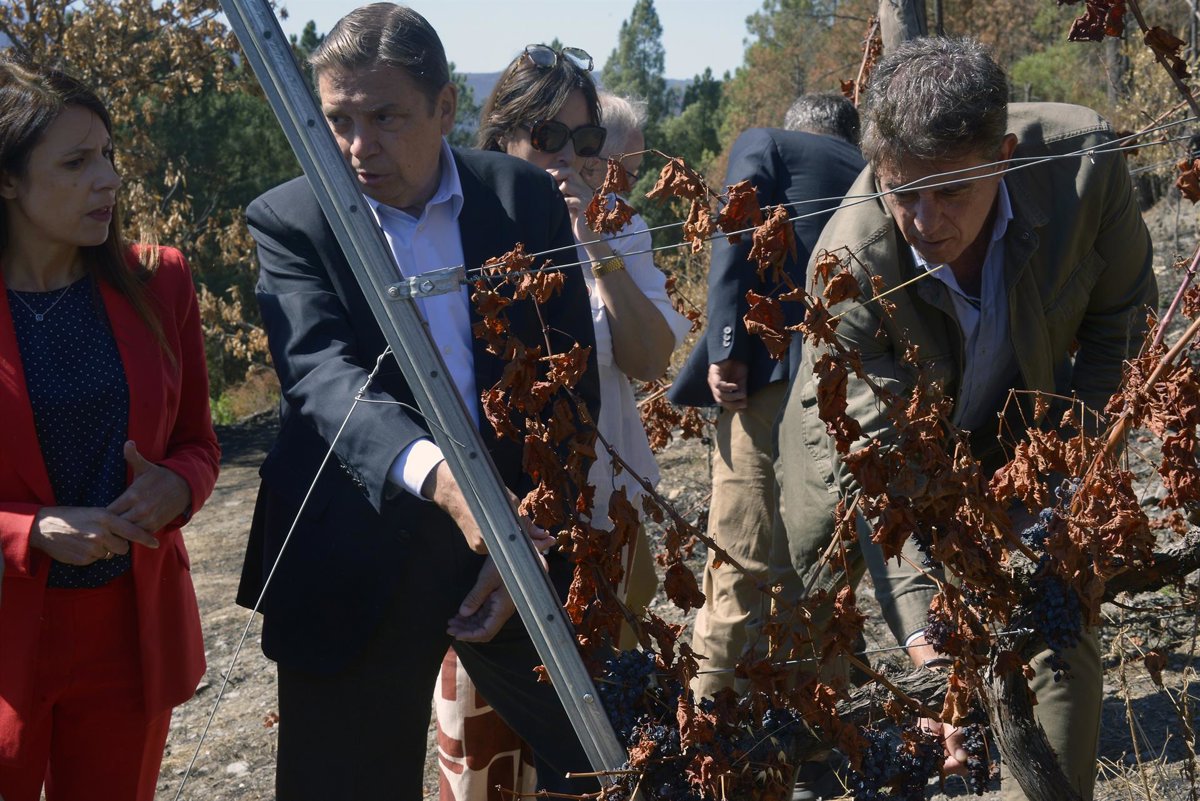 El Gobierno destina 27,8 millones en ayudas a agricultores y ganaderos por incendios
