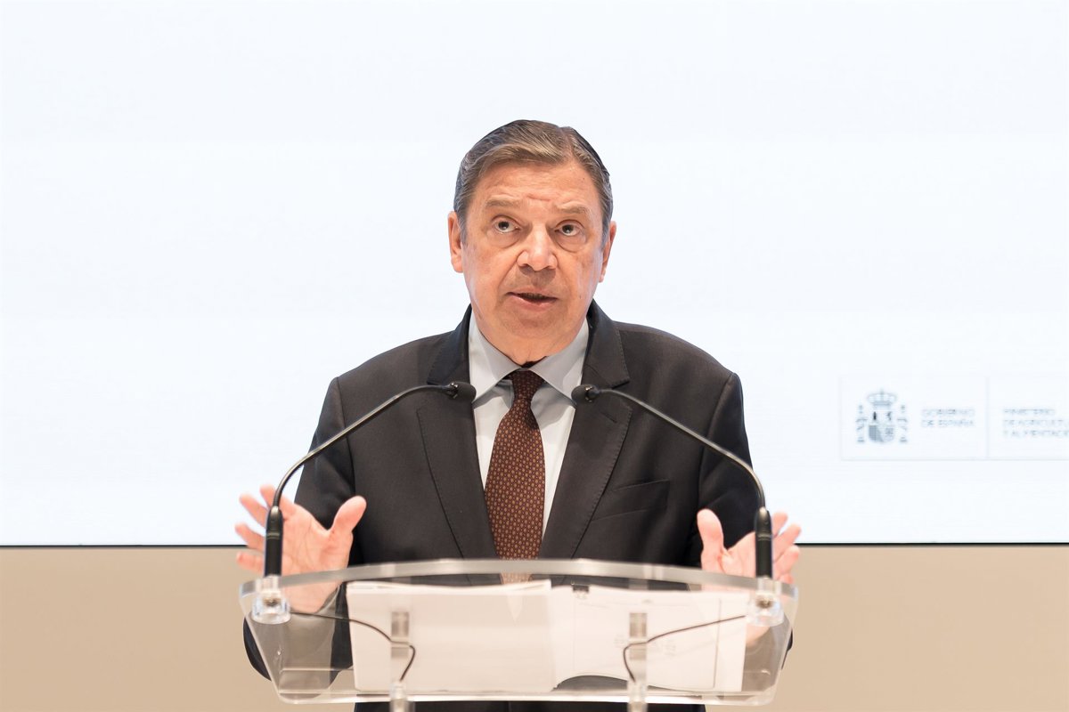 Elevan a 16 los jabalíes muertos por peste porcina en Cerdanyola, Barcelona