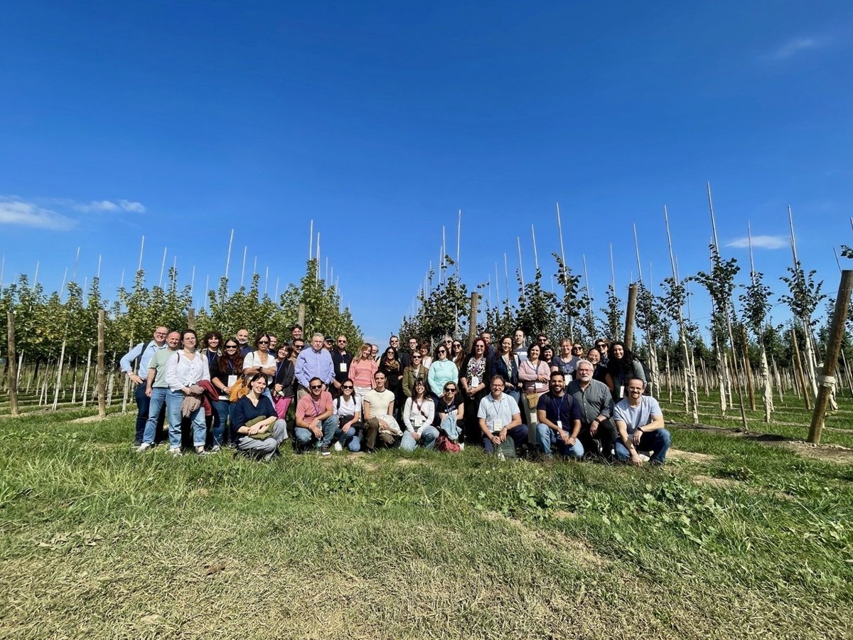 Expertos de 14 países avanzan en la lucha contra Xylella fastidiosa en el proyecto BeXyl