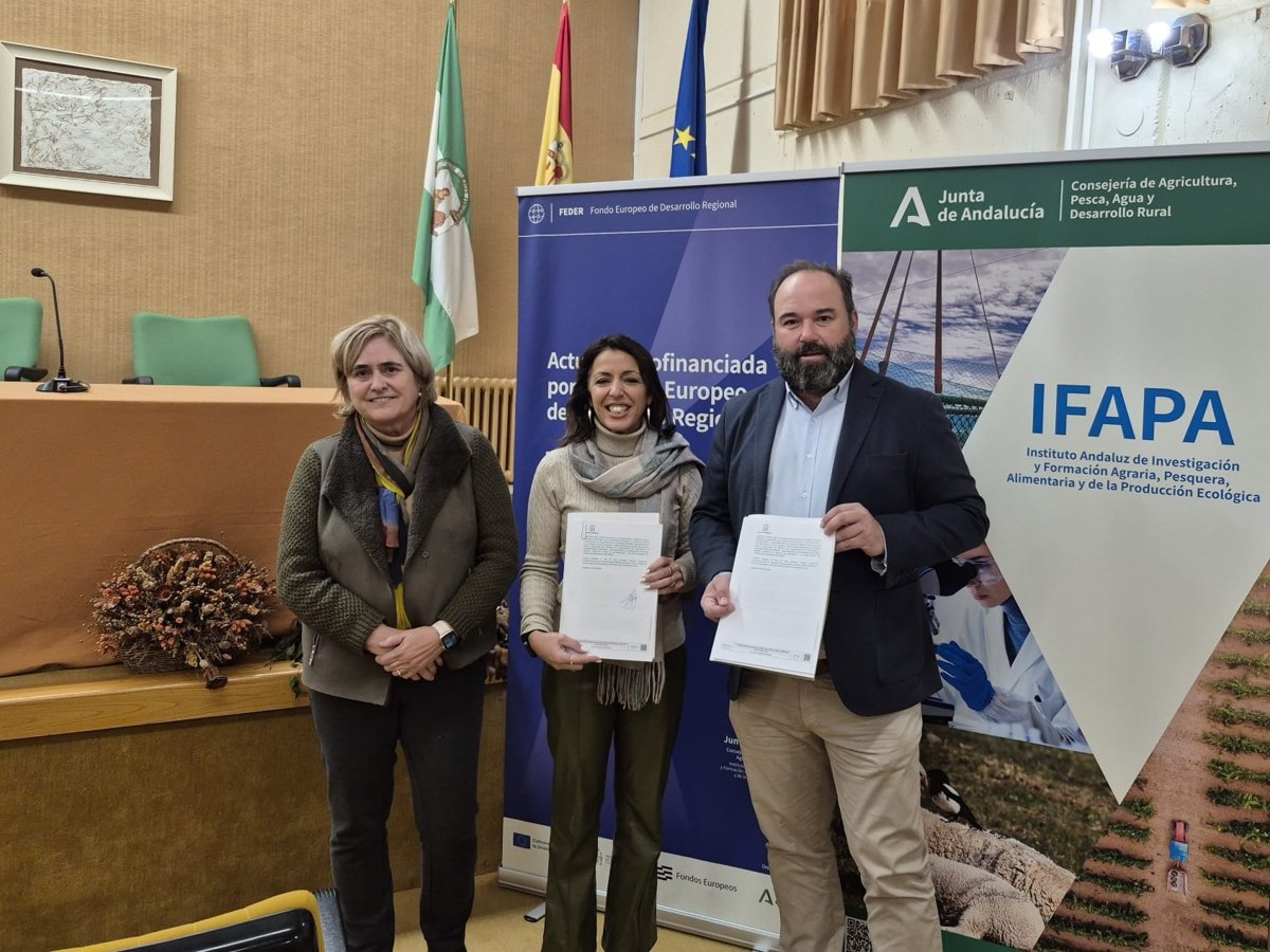 Ifapa y 'Aire Paisaje' recuperan viñedos autóctonos en Los Pedroches, Córdoba Ifapa y 'Aire Paisaje' recuperan viñedos autóctonos en Los Pedroches, Córdoba