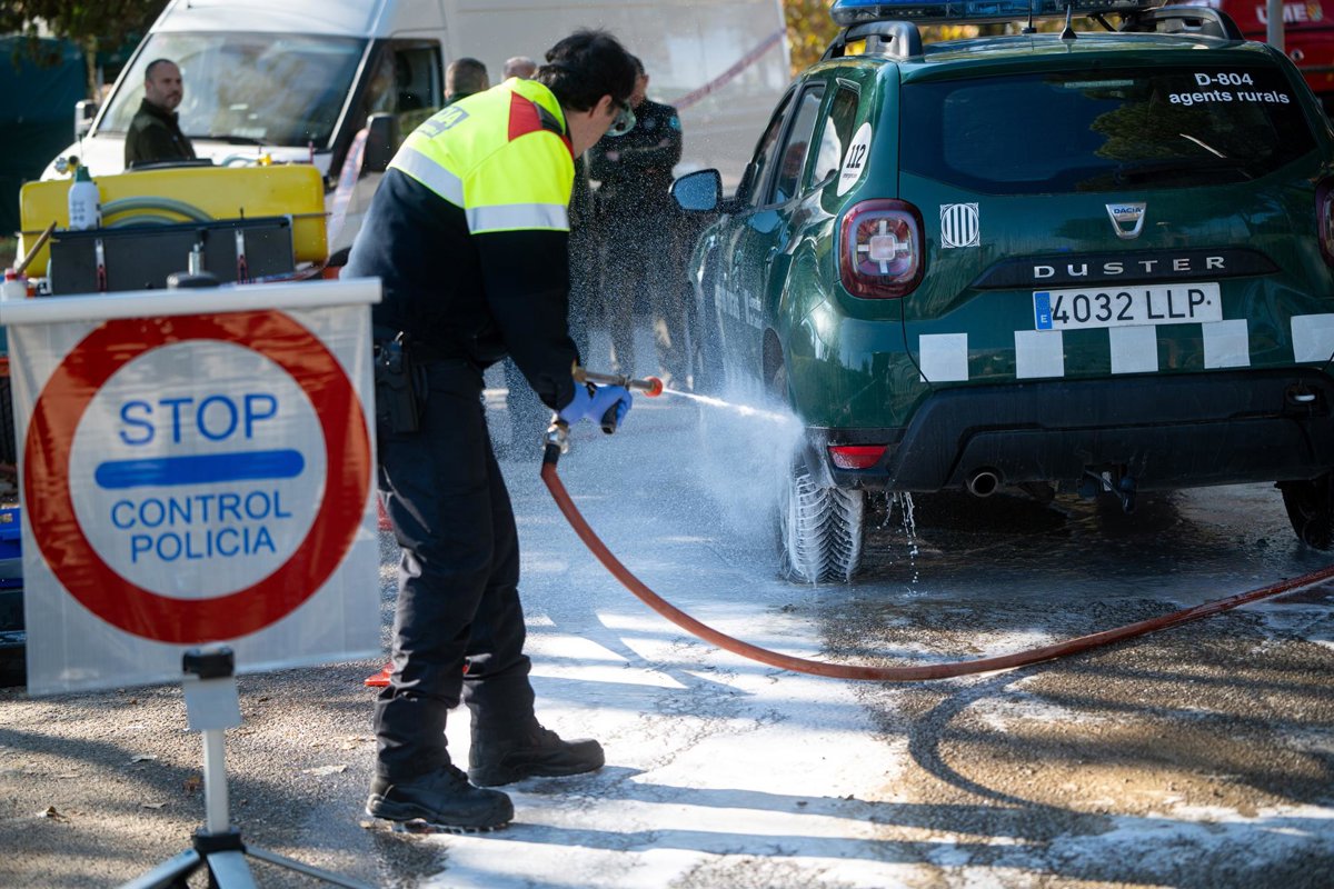 La Comisión Europea limita a 91 municipios catalanes por peste porcina africana