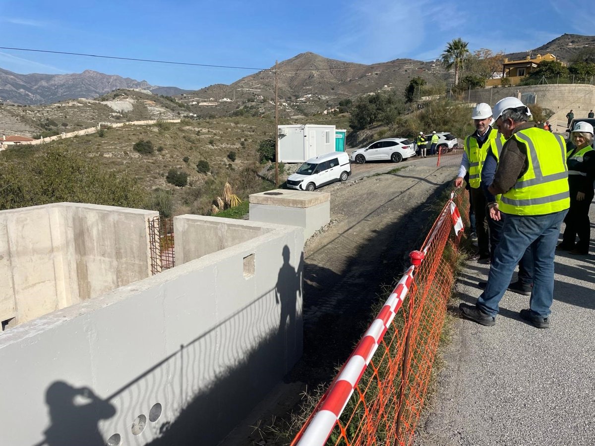 La Junta considera controlado el escarabajo de la ambrosía en Granada pero alerta de riesgos