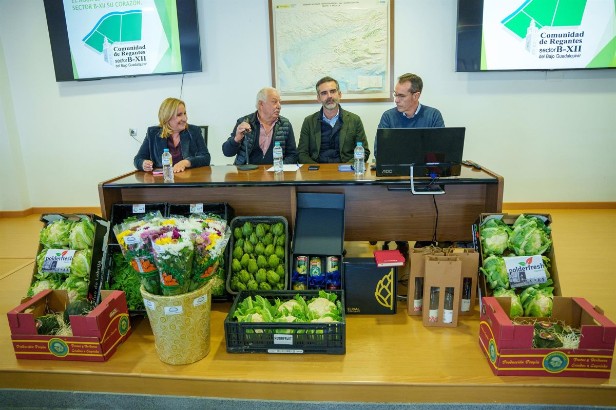 La Junta de Andalucía impulsa la modernización del regadío para optimizar el uso del agua