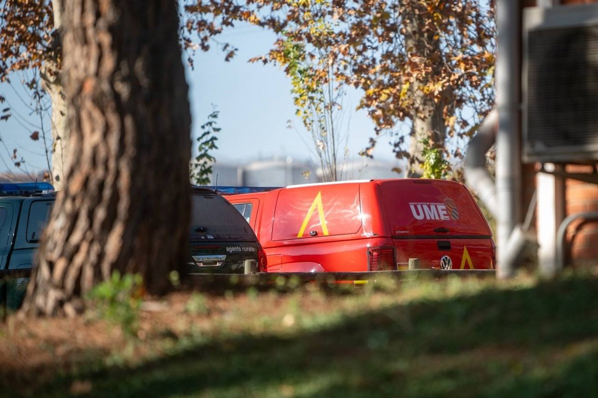 La UME despliega 117 efectivos y 25 vehículos en Catalunya por la peste porcina