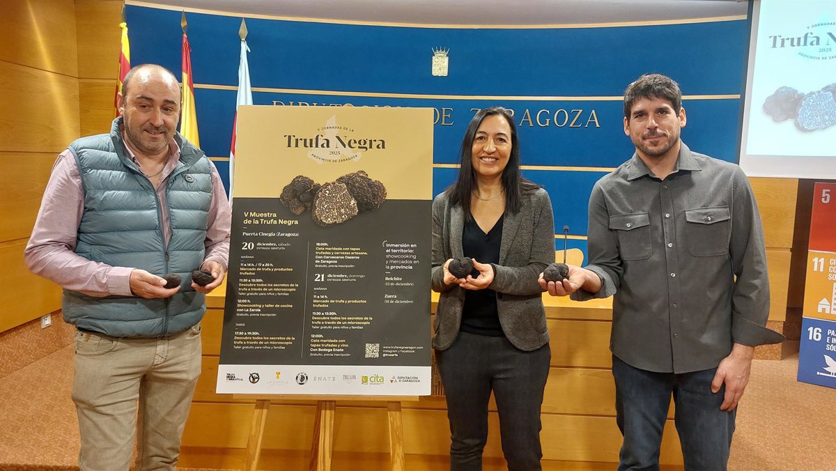 La trufa negra protagoniza actividades gastronómicas en Belchite, Zuera y Zaragoza