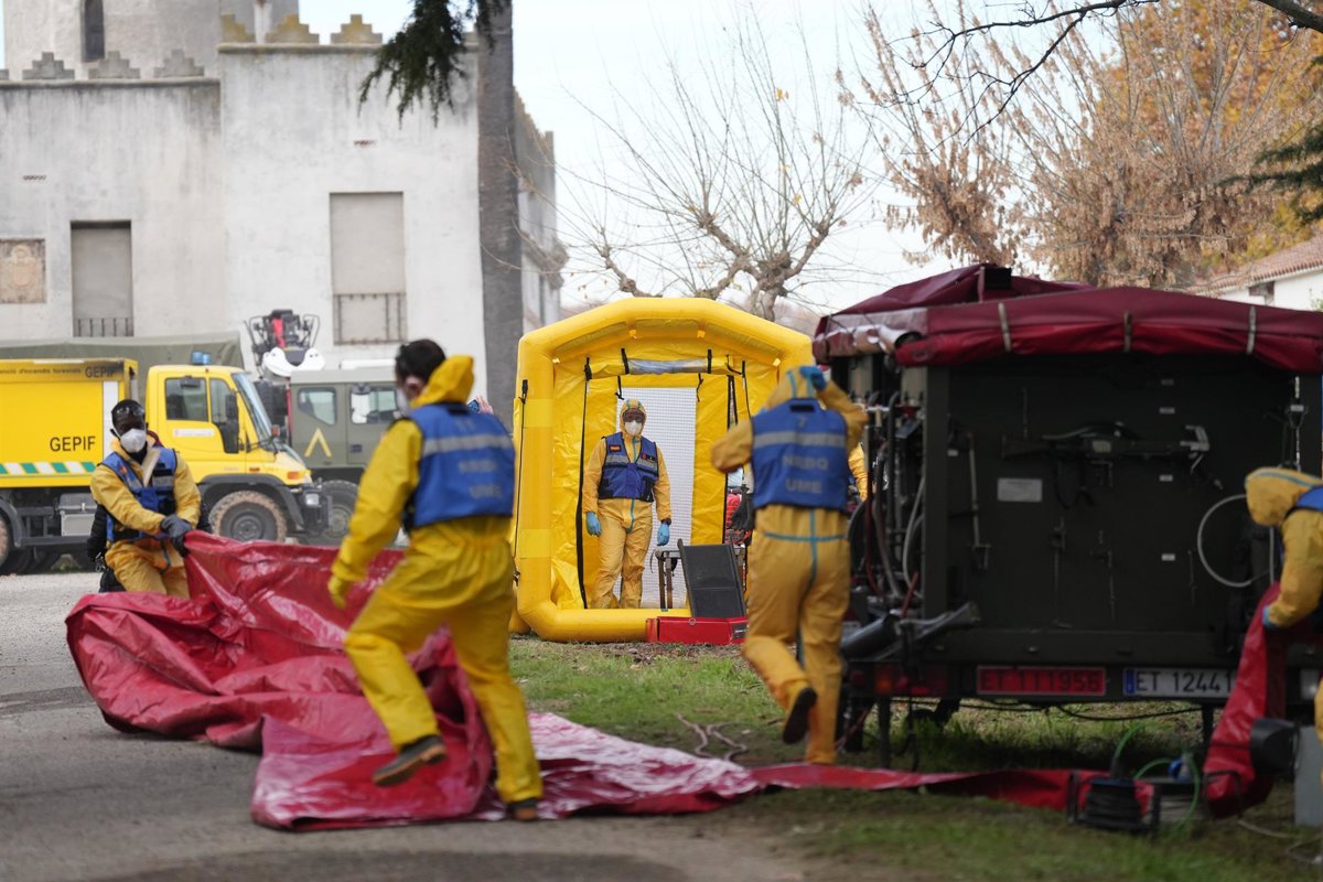 Ocu advierte de caída en el precio de la carne de cerdo si la peste porcina llega a granjas españolas