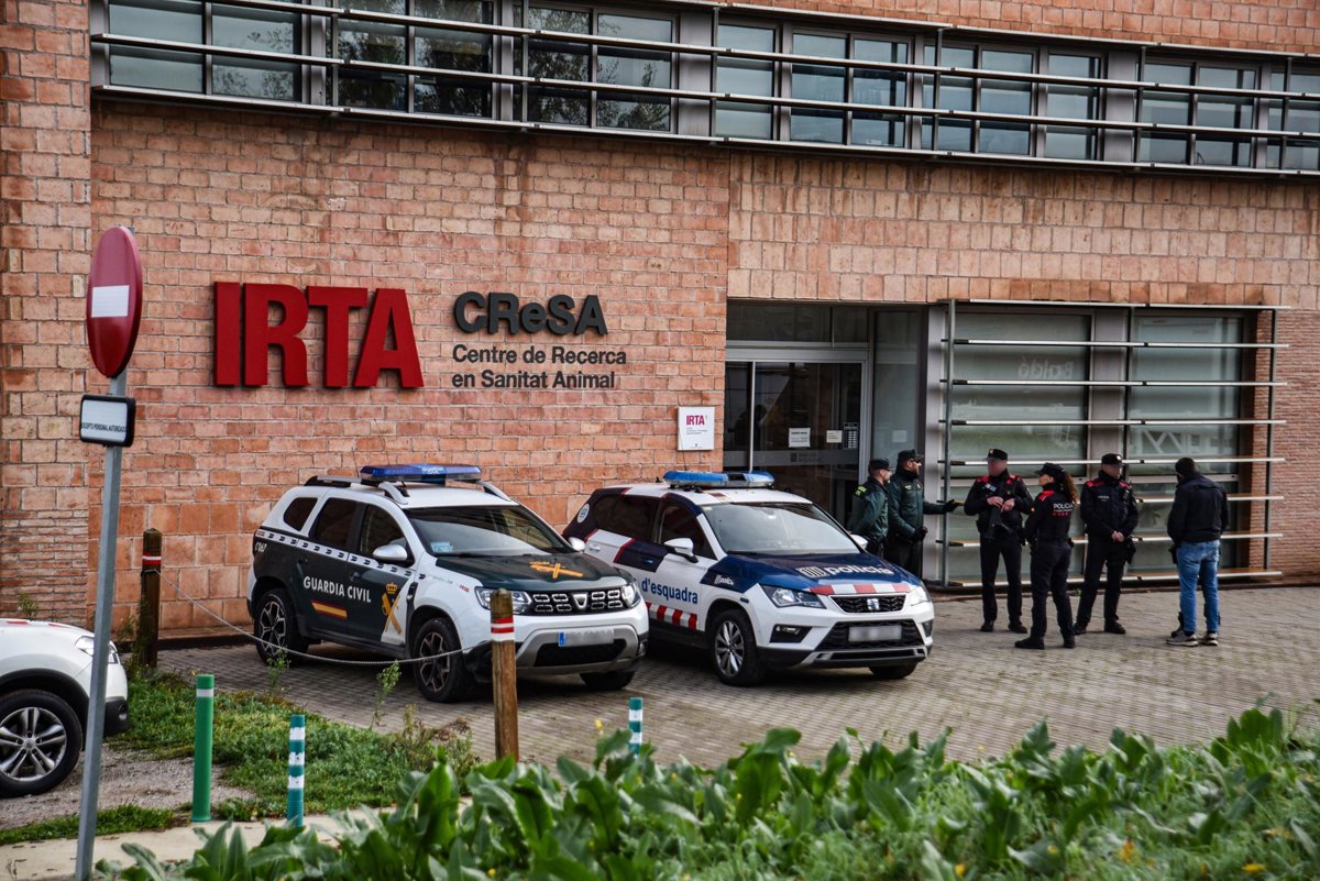 Paneque llama a la prudencia sobre el origen de la PPA tras registro en el IRTA-CReSA Paneque llama a la prudencia sobre el origen de la PPA tras registro en el IRTA-CReSA