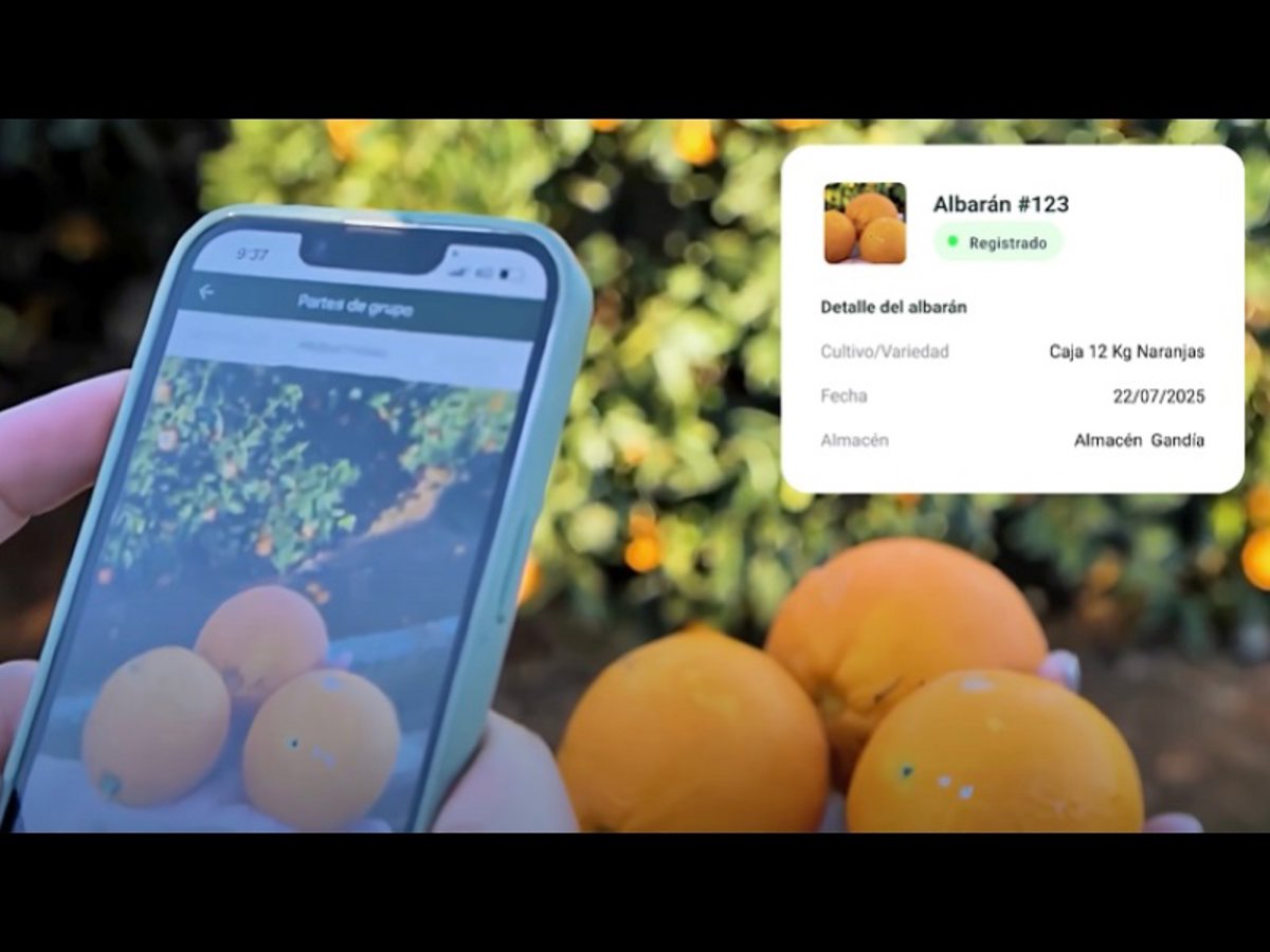 RawData lanza su software agrícola en Perú para optimizar explotaciones agrícolas RawData lanza su software agrícola en Perú para optimizar explotaciones agrícolas