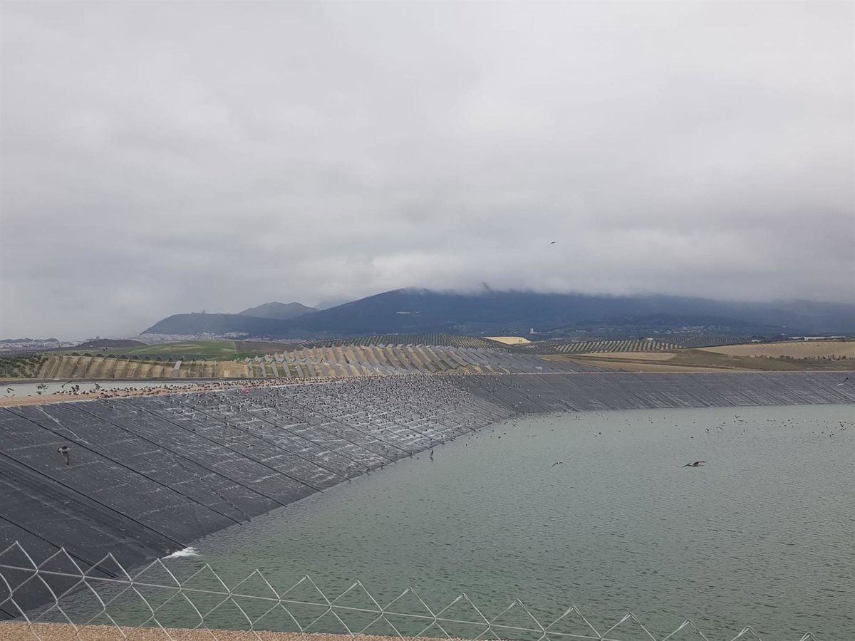 Seiasa destina 8,5 millones a modernizar regadíos en Úbeda, Torreblascopedro y Pozo Alcón