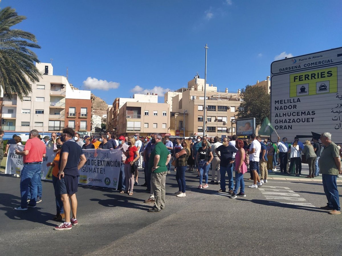 Asaja califica de traición al campo español el nuevo etiquetado de productos del Sáhara