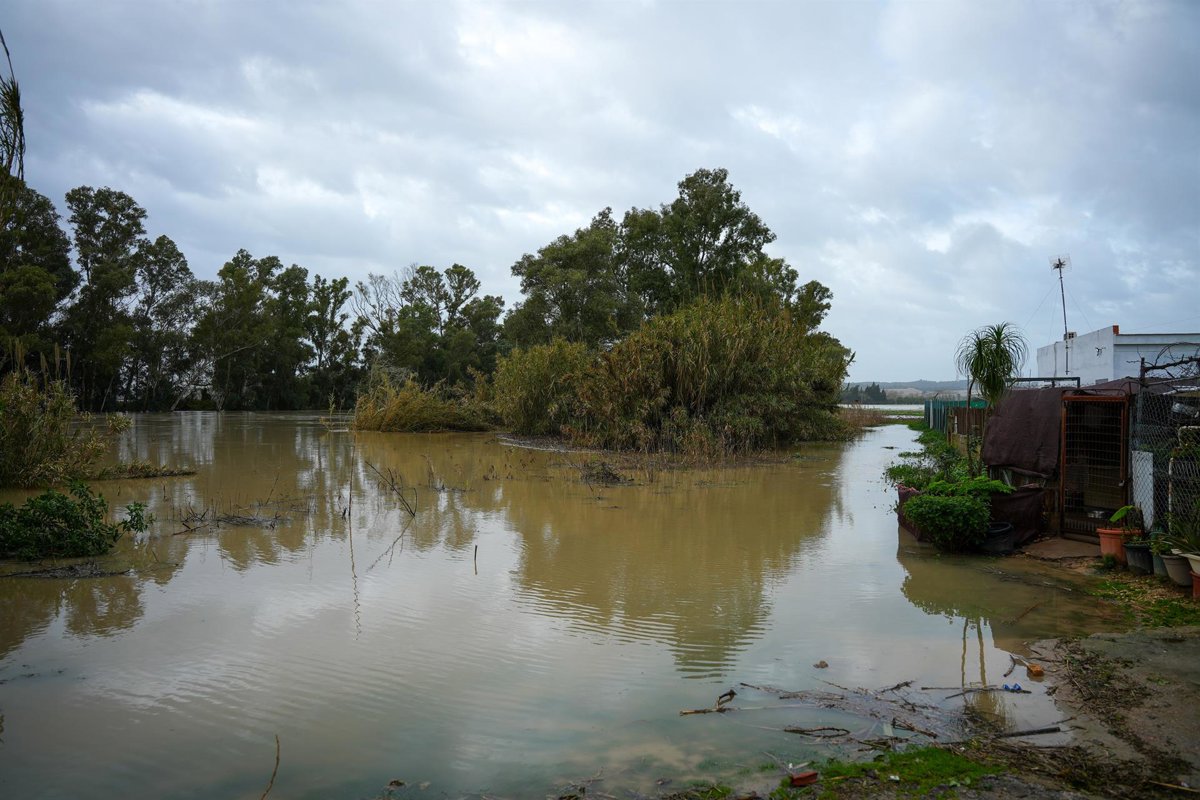 Asociaciones agrarias de Cádiz exigen conexión del pantano de Bornos con Guadalcacín
