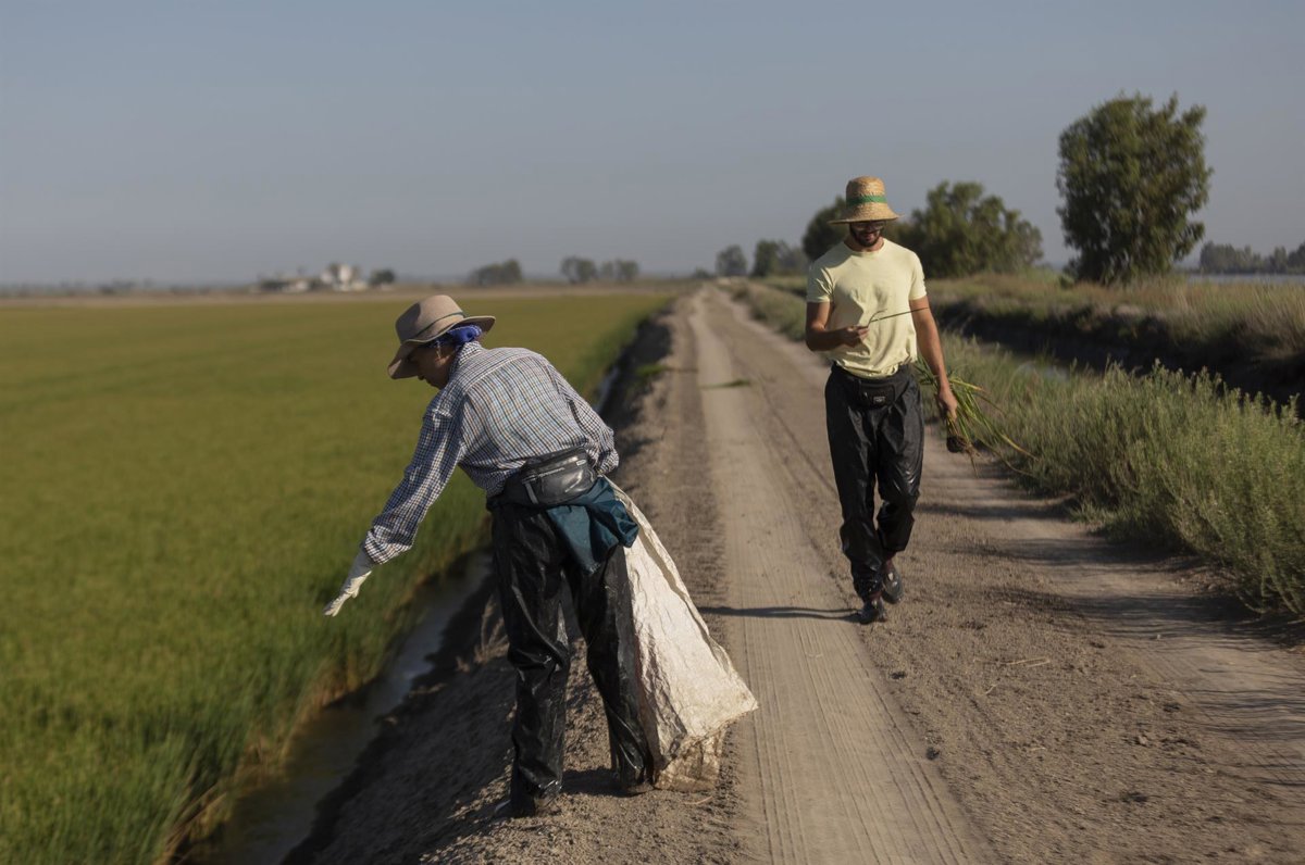 COAG apoya la regularización de migrantes para abordar la falta de mano de obra en el campo