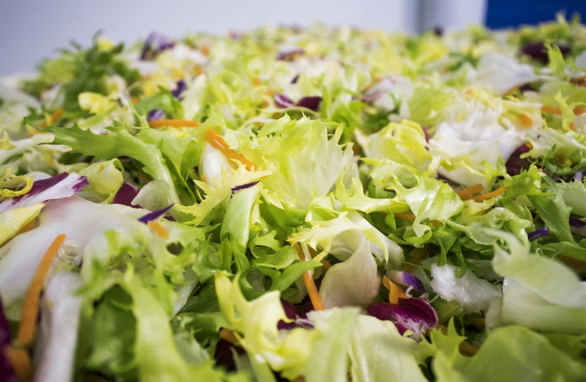 Grupo Enhol y Stellum Food&Tech invierten en Huerta de Peralta para potenciar sus cultivos
