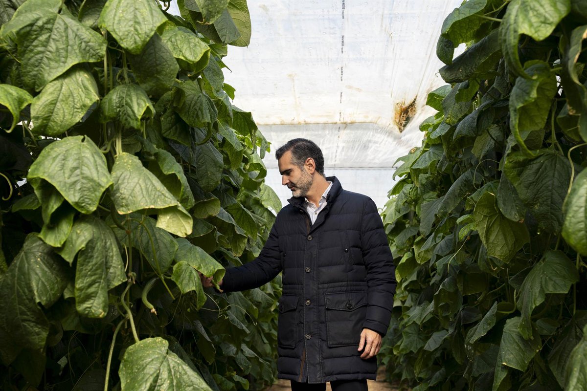 La Junta indemniza con 37,6 millones a más de 2.000 agricultores y ganaderos por la dana en Andalucía