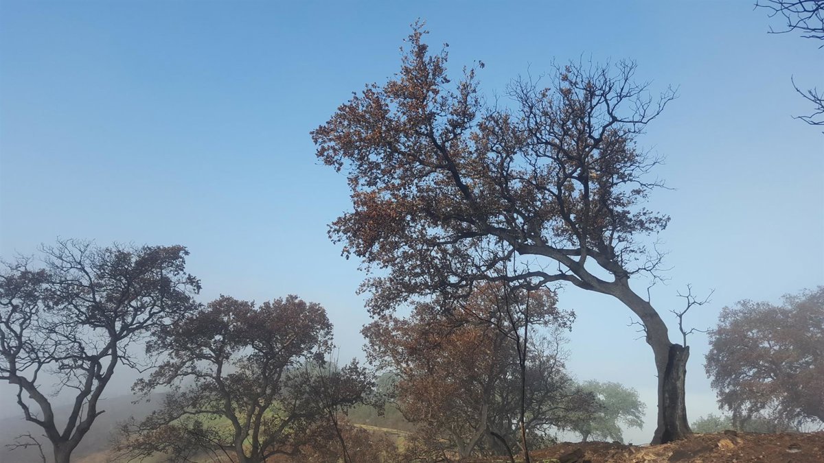 Las organizaciones agrarias movilizan a agricultores contra el acuerdo de Mercosur