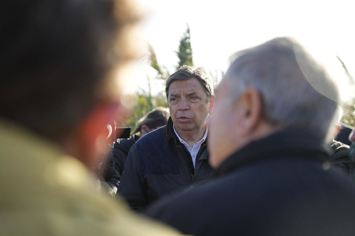 Aumentan significativamente las hectáreas afectadas por temporales en Andalucía