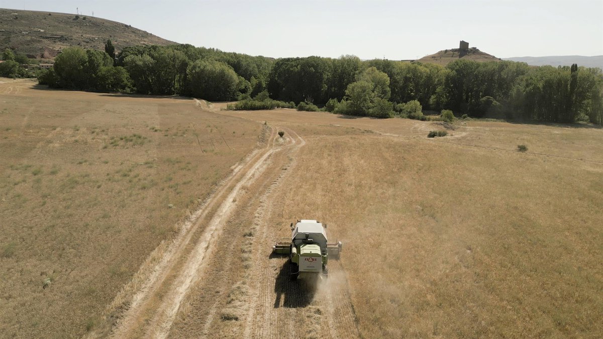 El Tribunal de Cuentas Europeo ve incertidumbre y posibles desigualdades en la nueva PAC