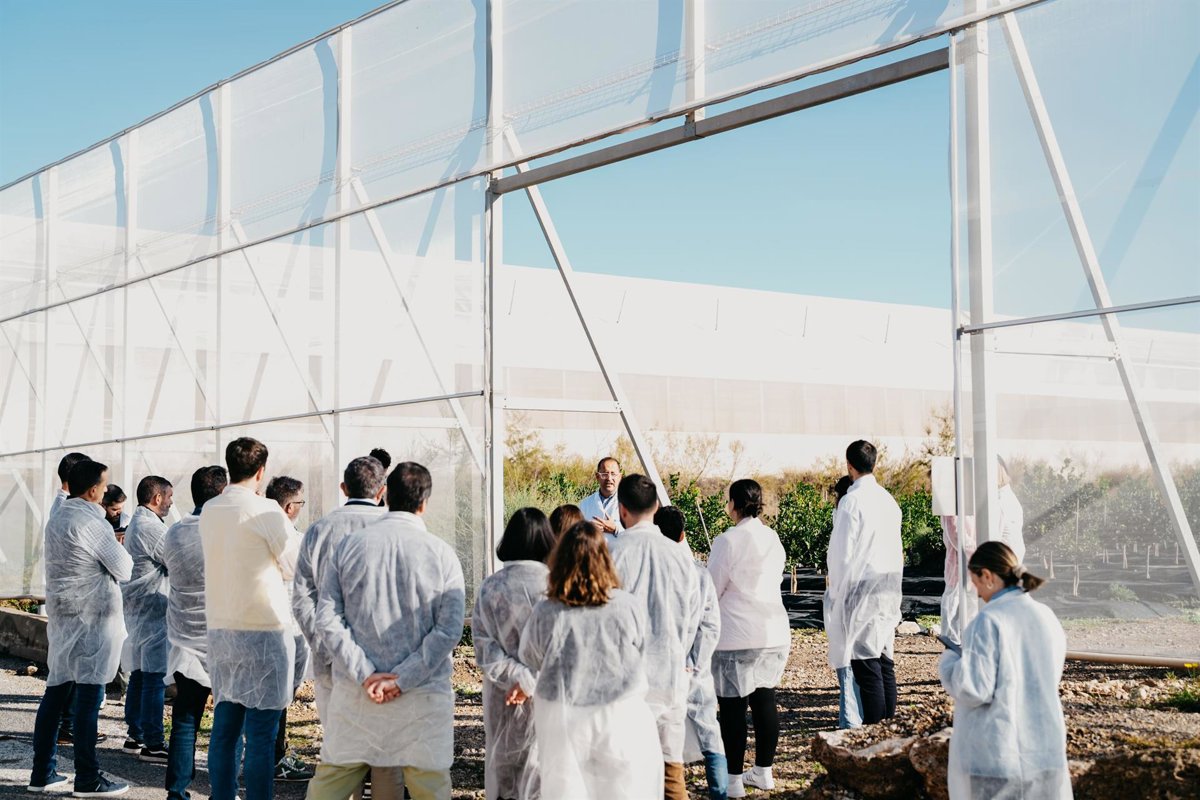 Lidl impulsa la transición ecológica de sus proveedores con una plataforma de financiación verde