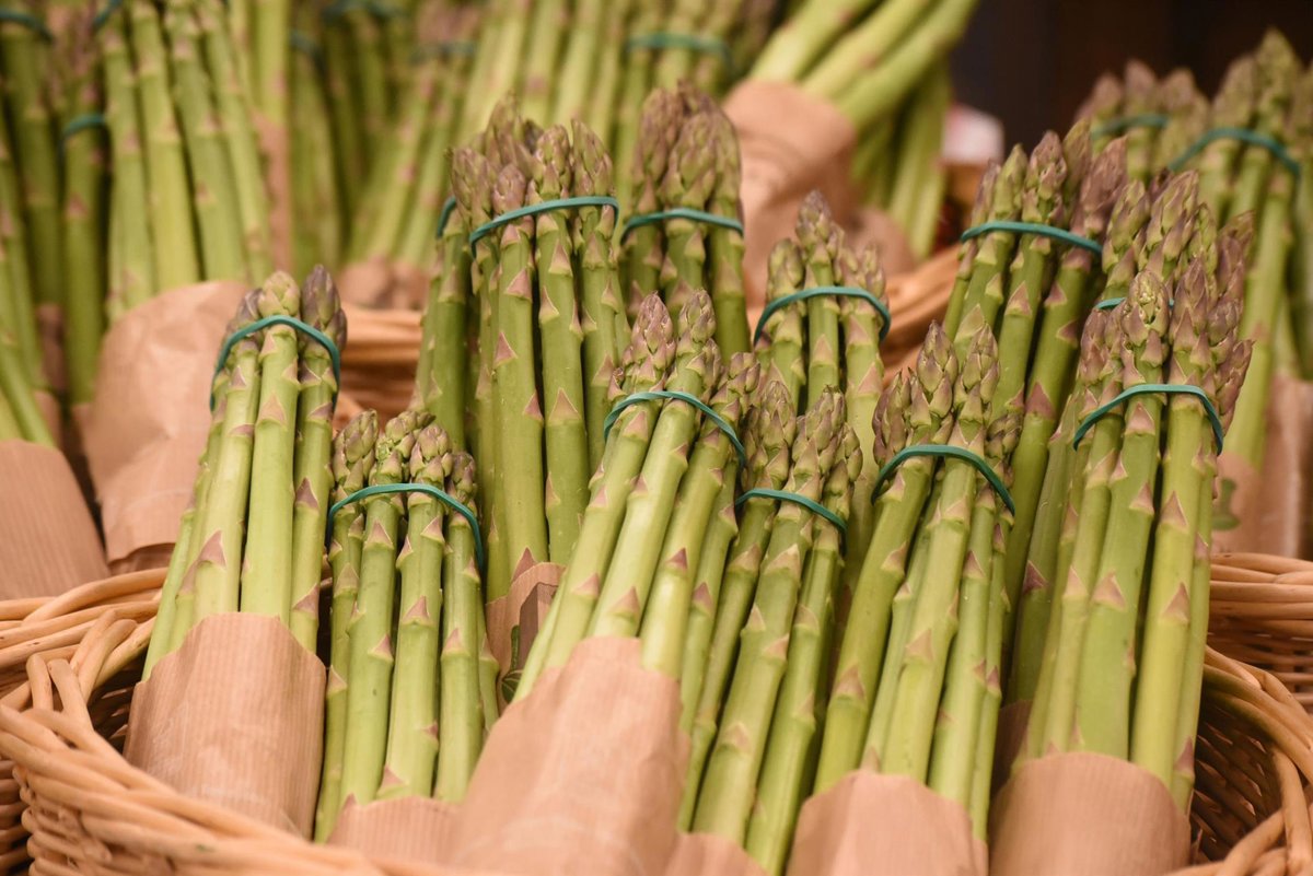 Productores de Huétor Tájar prevén pérdida del espárrago verde por temporal