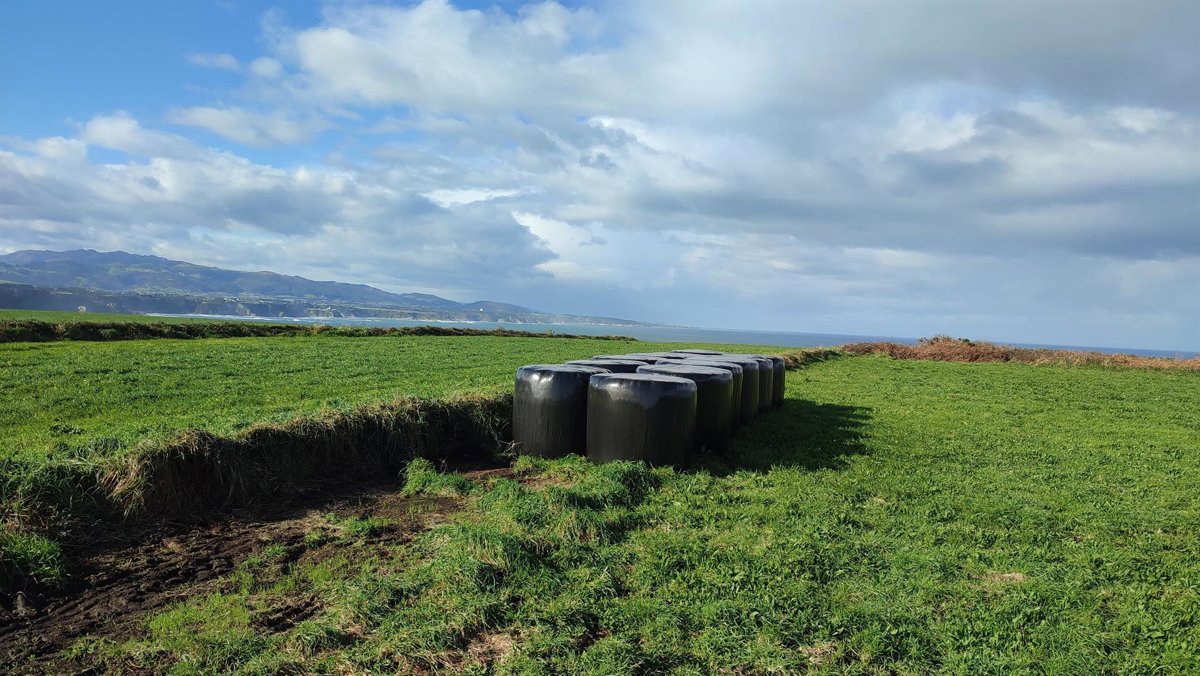 Saeca aprueba 5.828 operaciones de crédito agrario por 314 millones en 2025