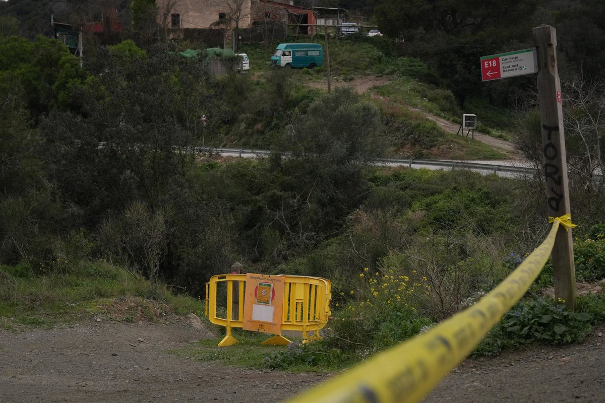 El Govern refuerza operativo para erradicar jabalíes tras brote de PPA