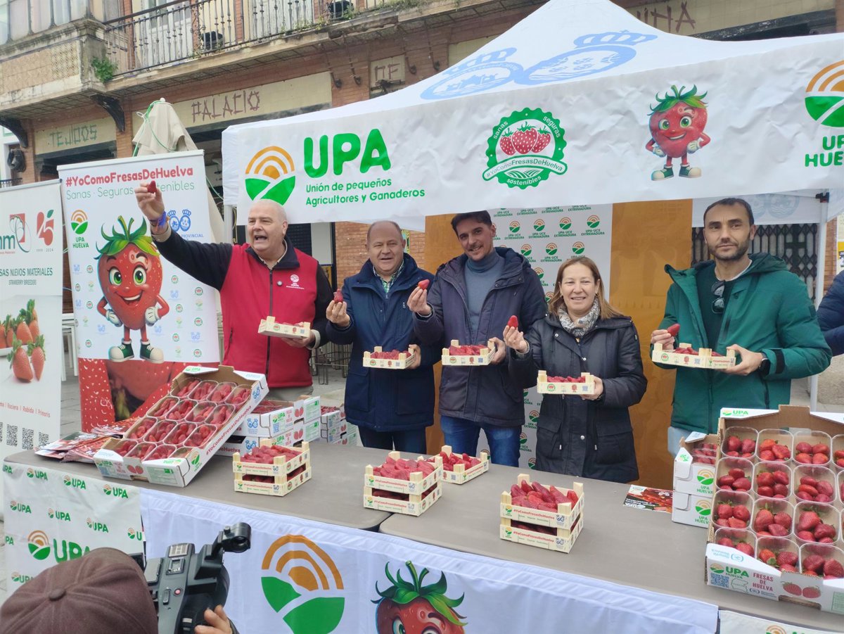 UPA denuncia que las fresas se venden a cinco veces el precio del agricultor