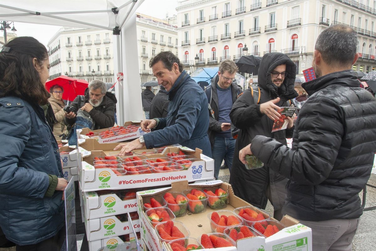 UPA reparte tarrinas de fresa de Huelva en la Puerta del Sol para fomentar su consumo