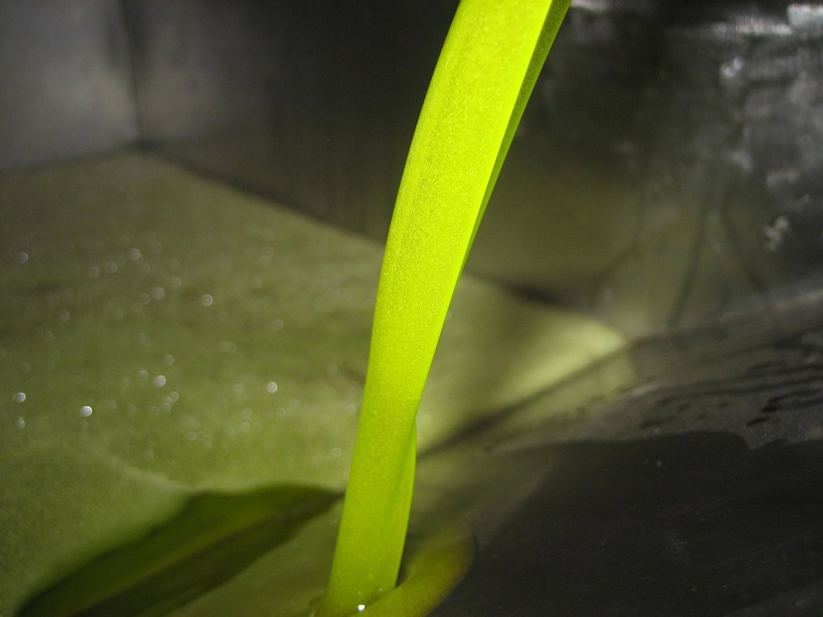 Bajos precios de aceite de oliva persisten ante caída en producción y aumento de ventas