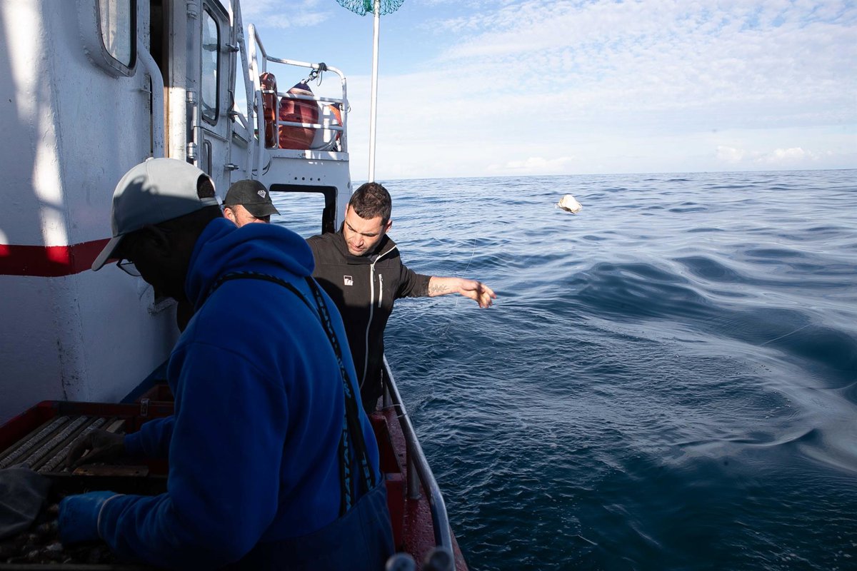Bruselas activa ayudas de emergencia al sector pesquero por la crisis en Oriente Próximo