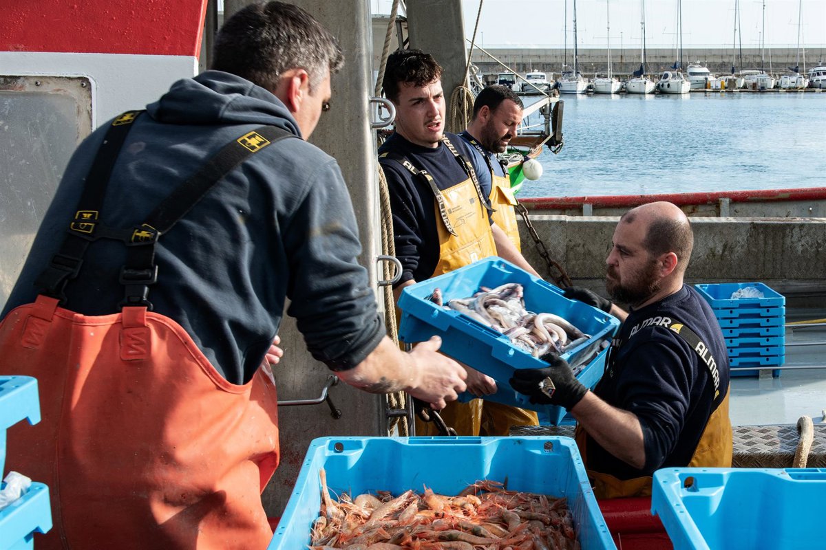 Bruselas ve avances contra la sobrepesca pero la recuperación de las poblaciones es lenta