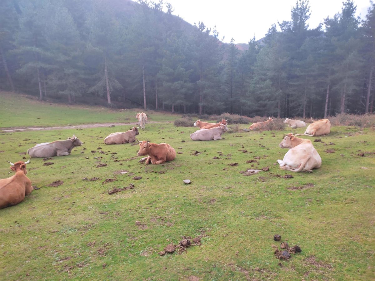 COAG lleva a Bruselas el estado de emergencia del campo español por la guerra de Irán