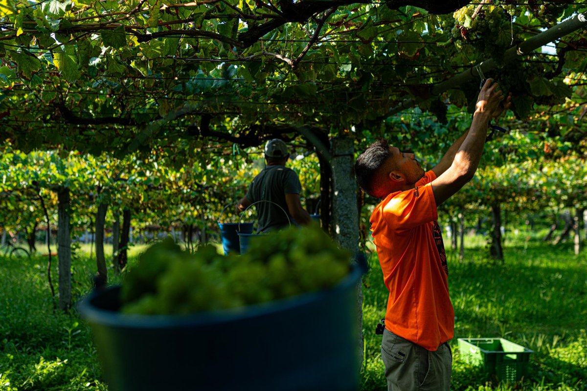 El Gobierno destina 1,02 millones al FEGA para ayudas del Feader