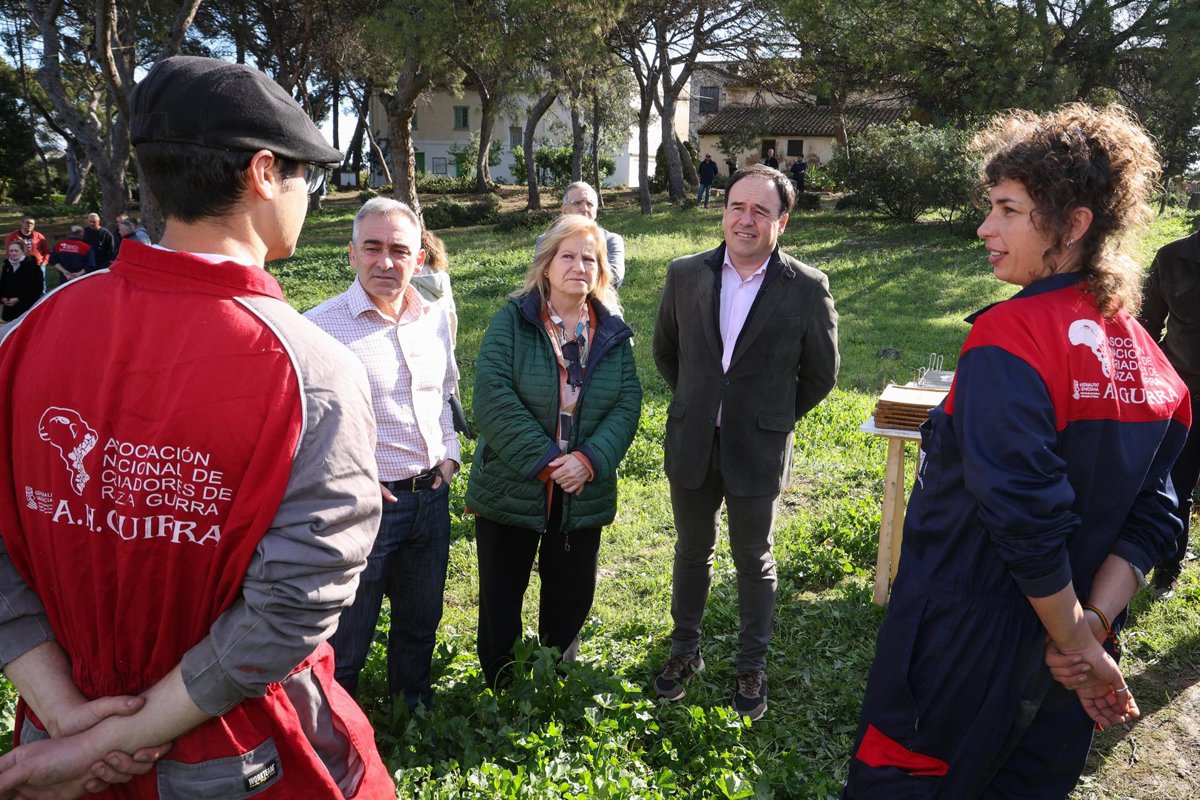 Llorca incorpora 548 jóvenes agricultores y ganaderos al campo valenciano