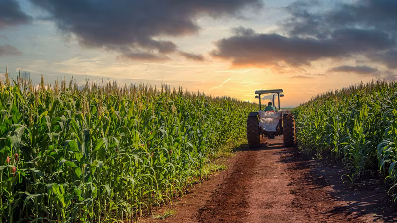 Brasil encara su campaña agrícola entre la guerra en Irán y El Niño: 3 factores que pueden cambiarlo todo