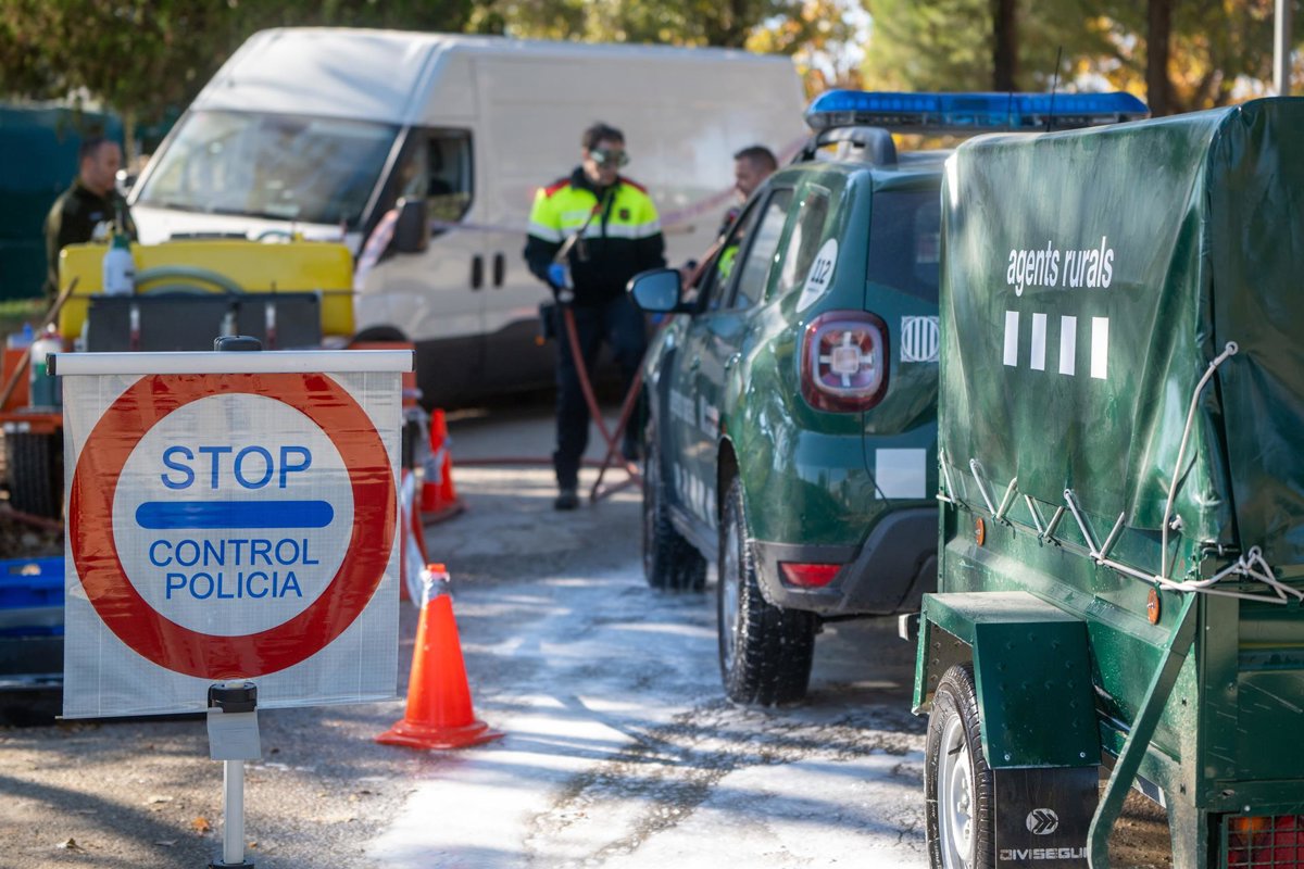 Detectan 9 nuevos casos de PPA en Catalunya, todos en zona de alto riesgo