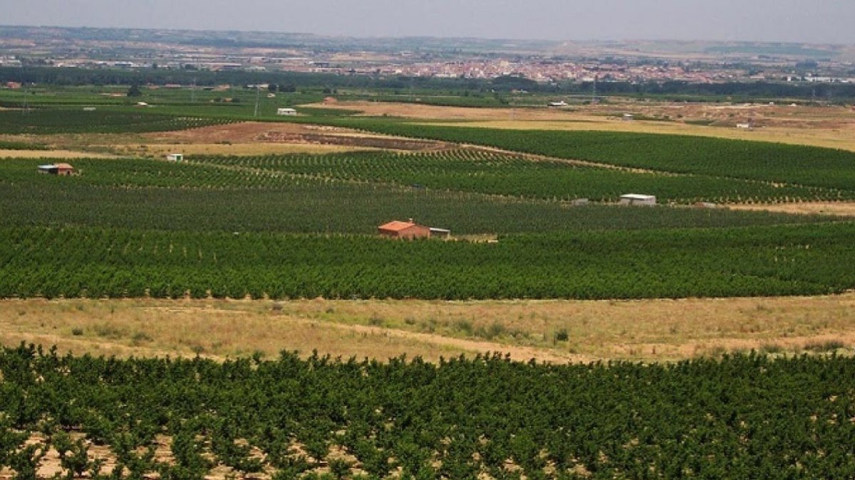 El Govern destina 6,6 millones a la ayuda agroambiental para cultivos sostenibles 2025