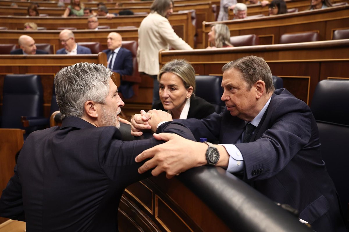El ministro Planas advierte que asegurar el mildiu debe ser financieramente viable