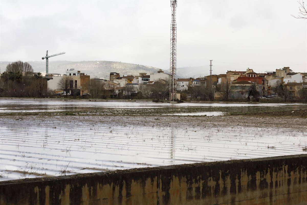 El sector primario de Granada considera insuficientes las ayudas tras las borrascas