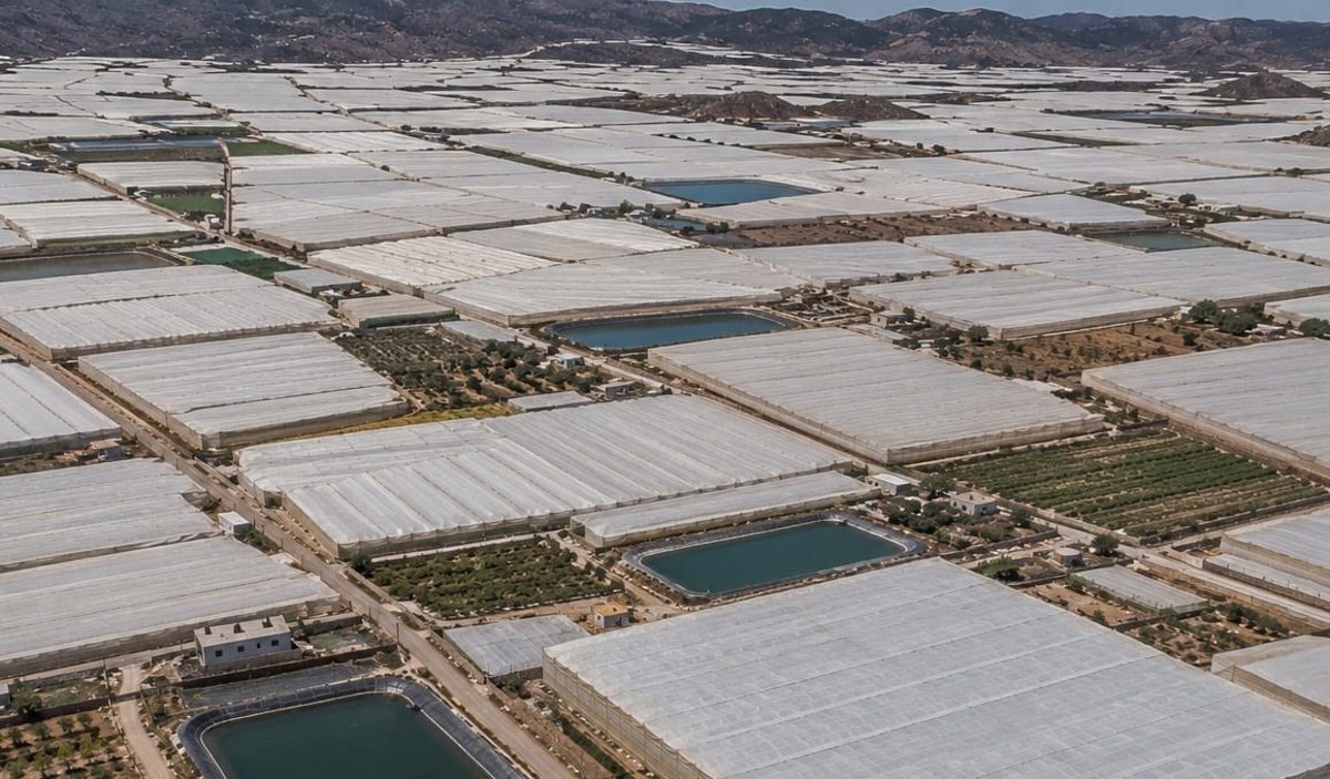 La Junta crea la Comunidad de Usuarios de Masa de Agua Subterránea de Níjar en Almería