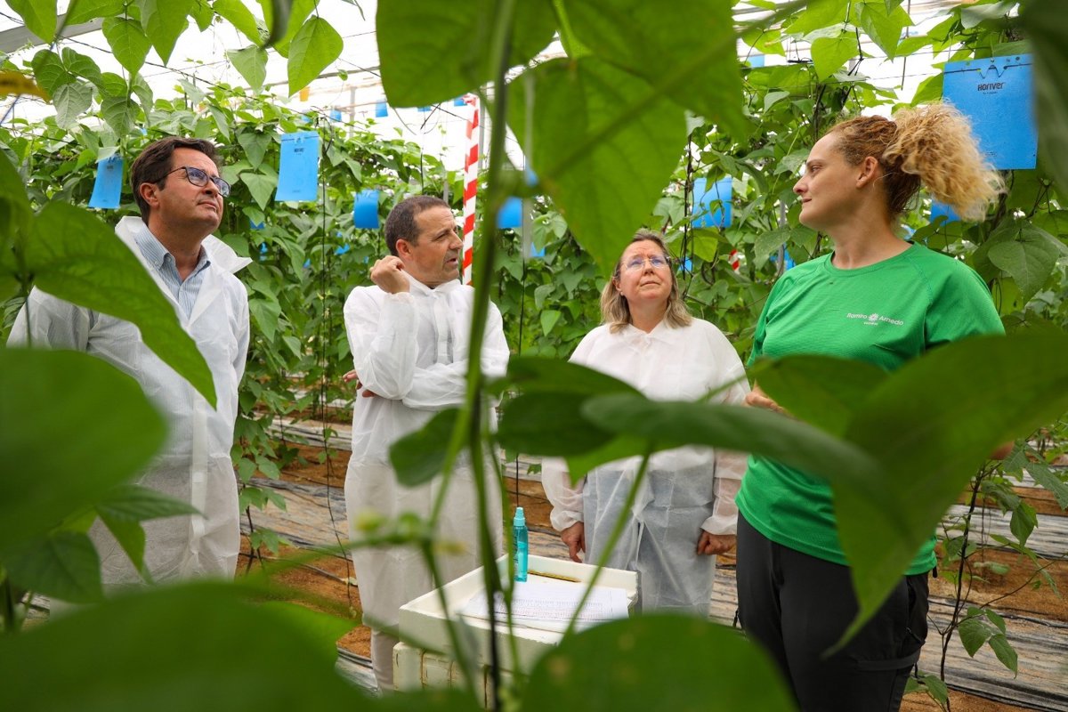 La Junta impulsa la innovación agrícola en El Ejido con la Agencia Trade