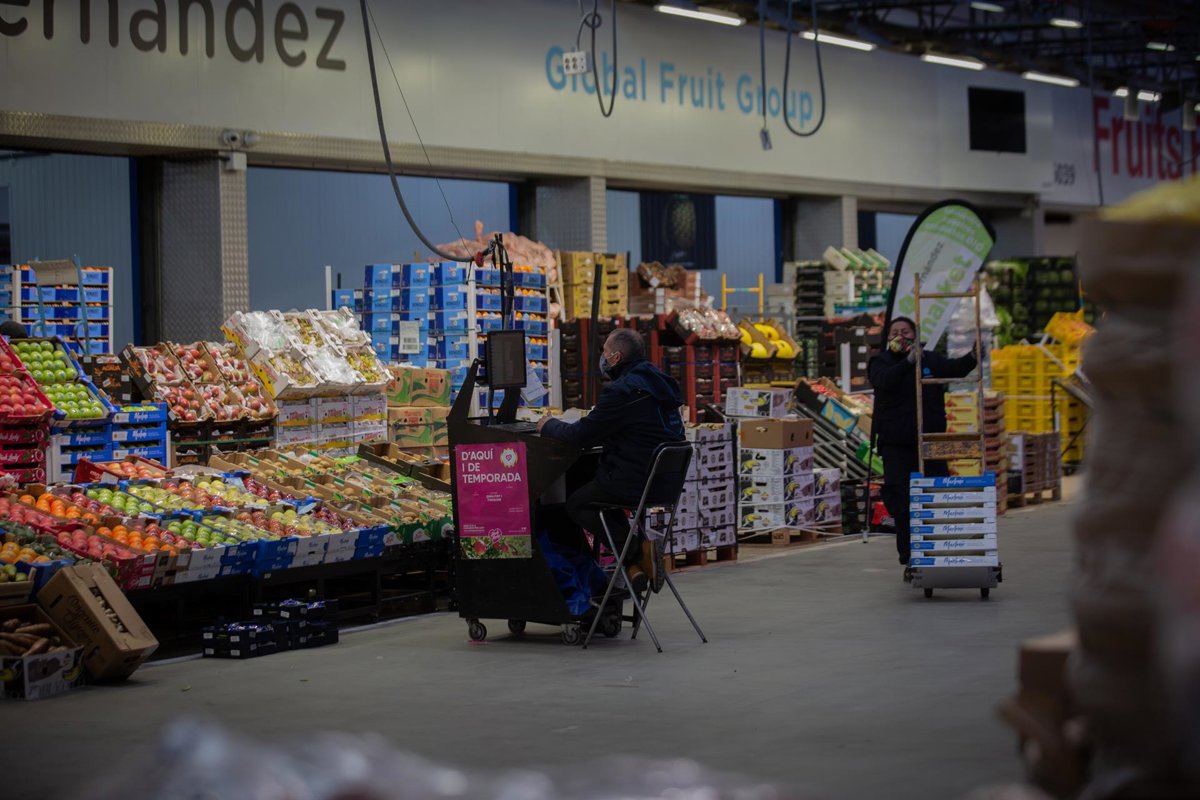 La UPC y la UB lanzan un grado en Tecnologías Agroalimentarias para impulsar el sector